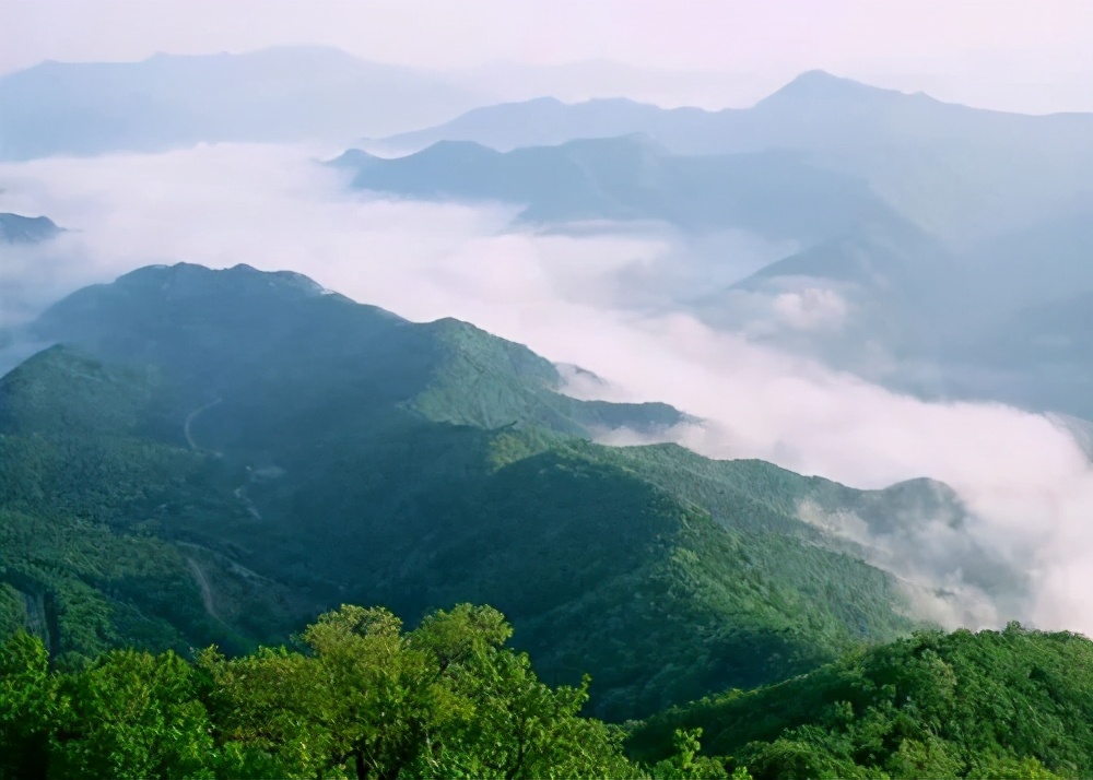 琼中秋之韵山水民宿,琼中蜜柚山庄民宿