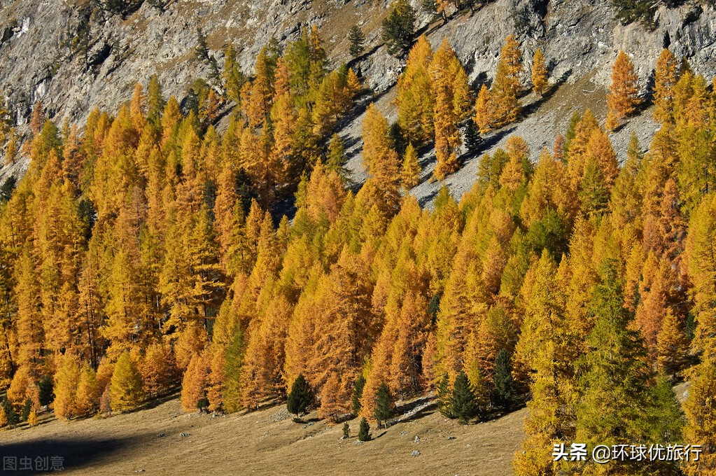 去瑞士旅游买表攻略,瑞士7日游攻略