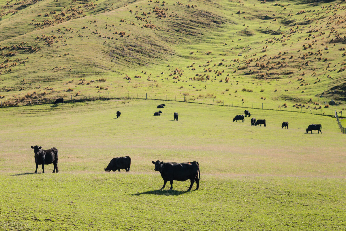 谦卦卦辞,谦卦象辞