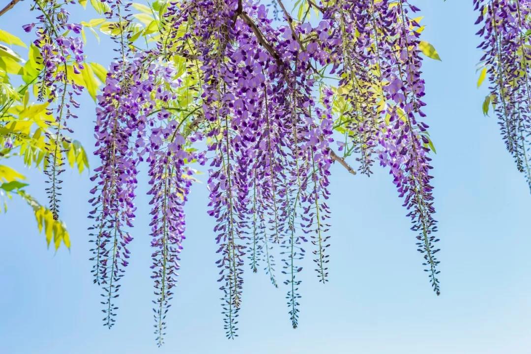 三月再见四月你好诗句,三月再见四月你好英文