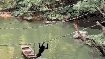 过年去珠海长隆海洋王国游玩攻略,广州长隆欢乐世界带娃一日游攻略