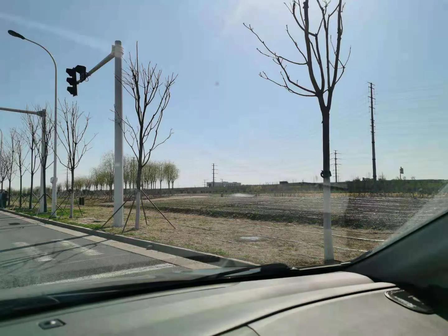 天津空港七彩花田几月去最好,空港七彩花田坐几路公交车去