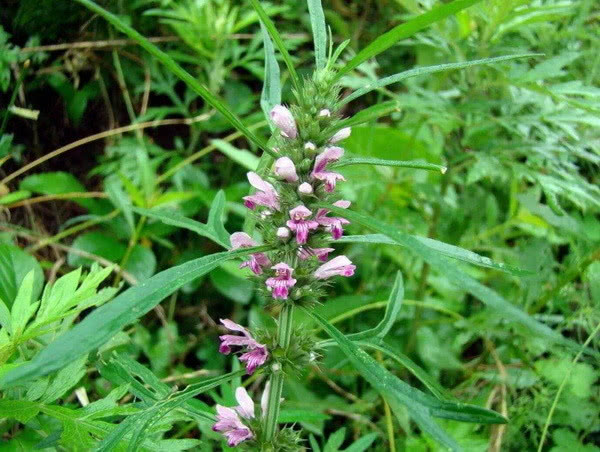 宫寒痛经者平时忌食哪些食物,宫寒月经期吃什么对身体好