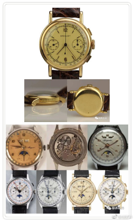 百里鸽,百里乳鸽