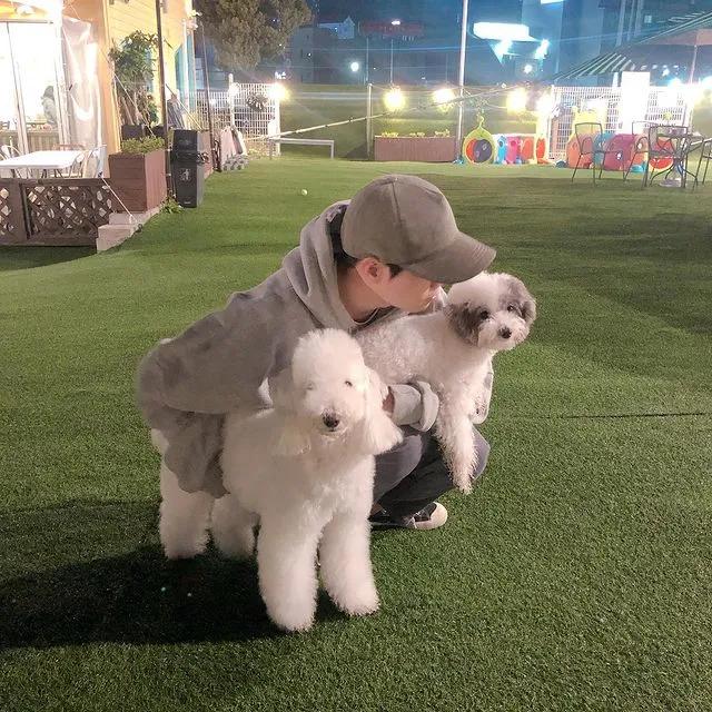 tony老师高阶换头术,90后tony老师换头术