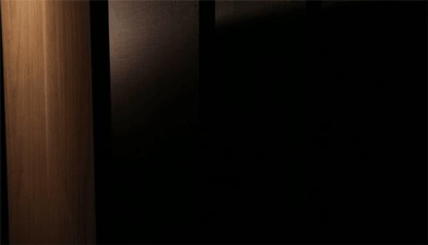 大王椰免漆生态板多少钱一张,大王椰免漆生态板