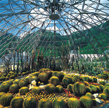 罗湖仙湖植物园,仙湖植物园植物区