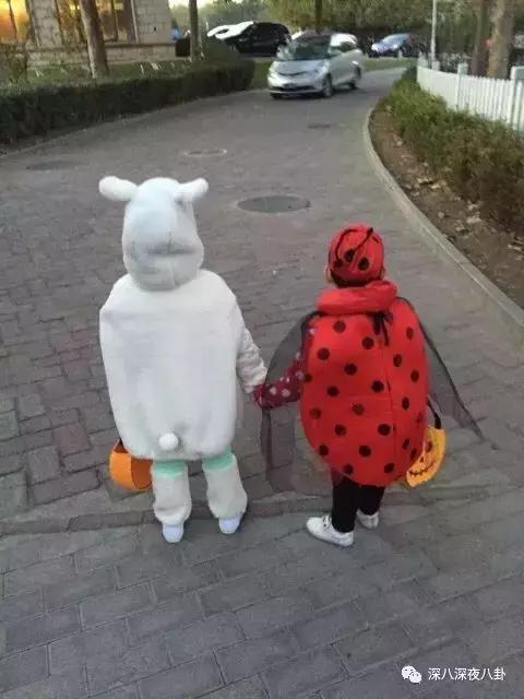 万人迷陈好个人简介,万人迷陈好曝光中戏