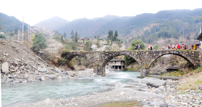 春到茶山好风光,春到安宁景醉人