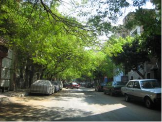 意大利著名的女歌手,意大利传奇女歌手