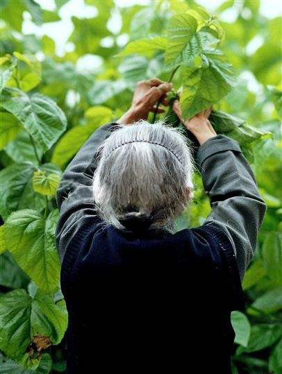 希望你能牵着我的手一直走下去,一辈子只愿牵着你的手