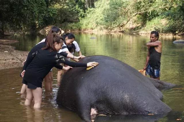 閾舵捣鍥介檯瀛︽牎,閾舵捣鍥介檯瀛︽牎闈掑矝