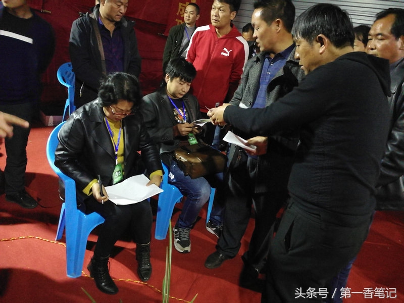 2018年昆明兰花展精品图片,云南兰花展作品欣赏