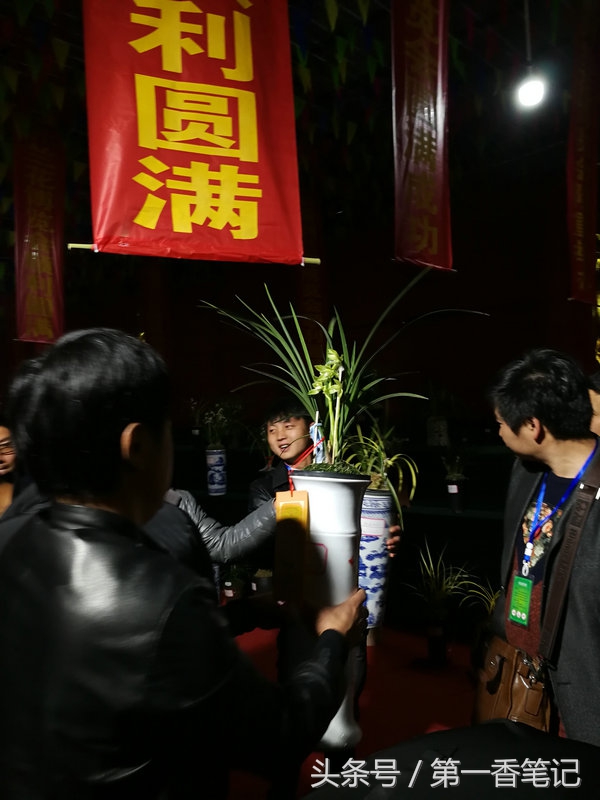 2020年云南兰花展获奖图片,2018年昆明兰花展精品图片