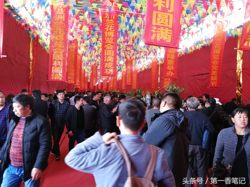 2018年昆明兰花展精品图片,云南兰花展作品欣赏