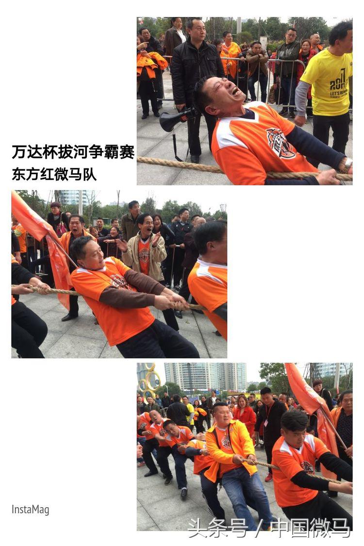 东方红微马队,东方红拔河比赛