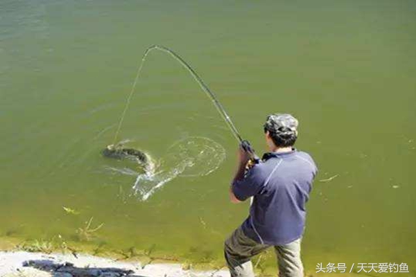 抛竿爆炸钩钓底教学,水库抛竿爆炸钩钓鱼技巧