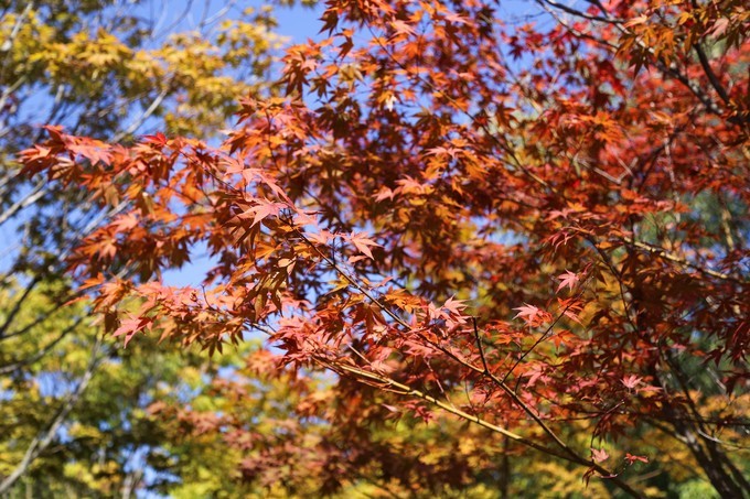 除了买买买还能干什么,除了买东西还可以干什么