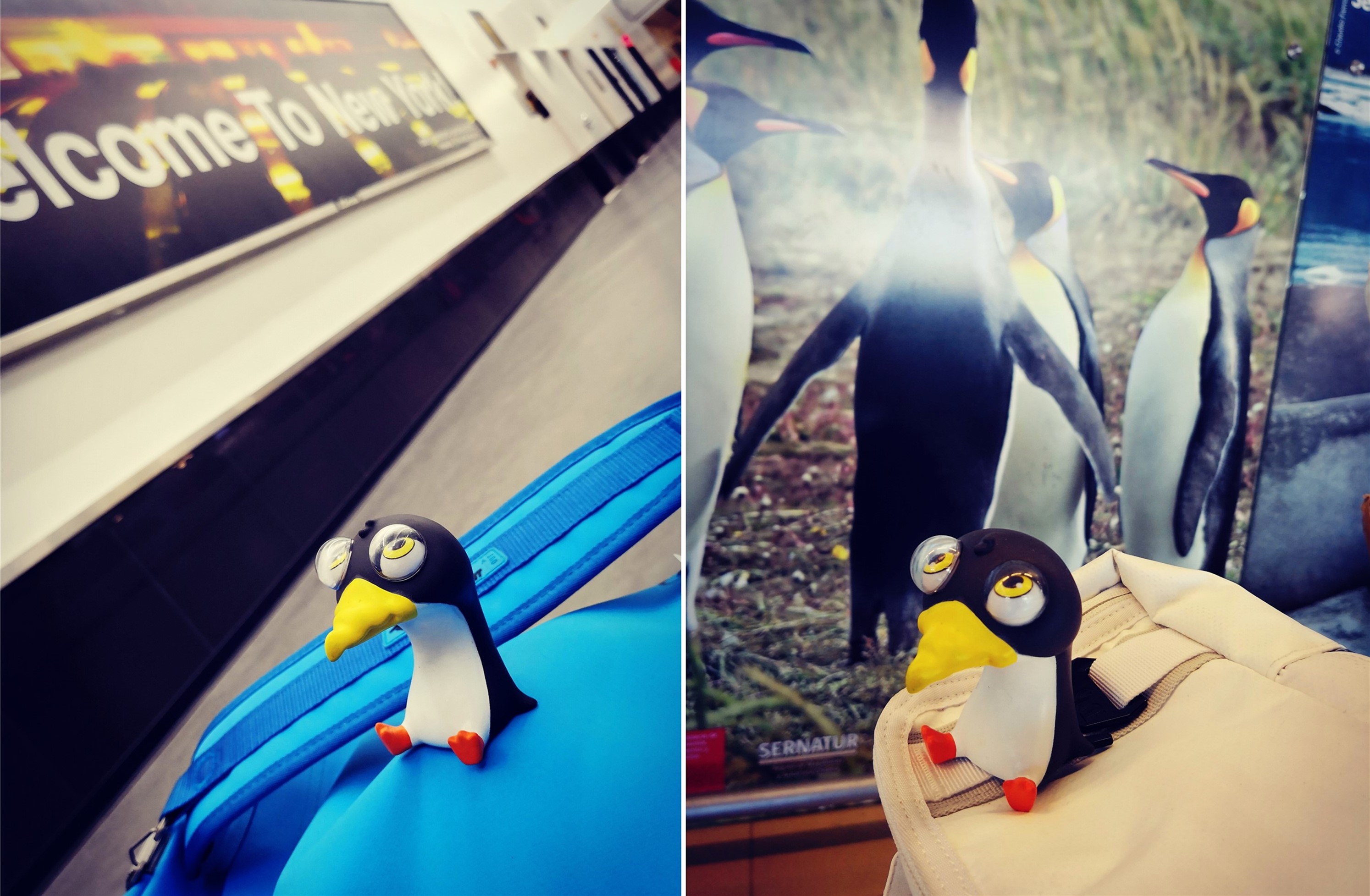 远途心路,远途旅程