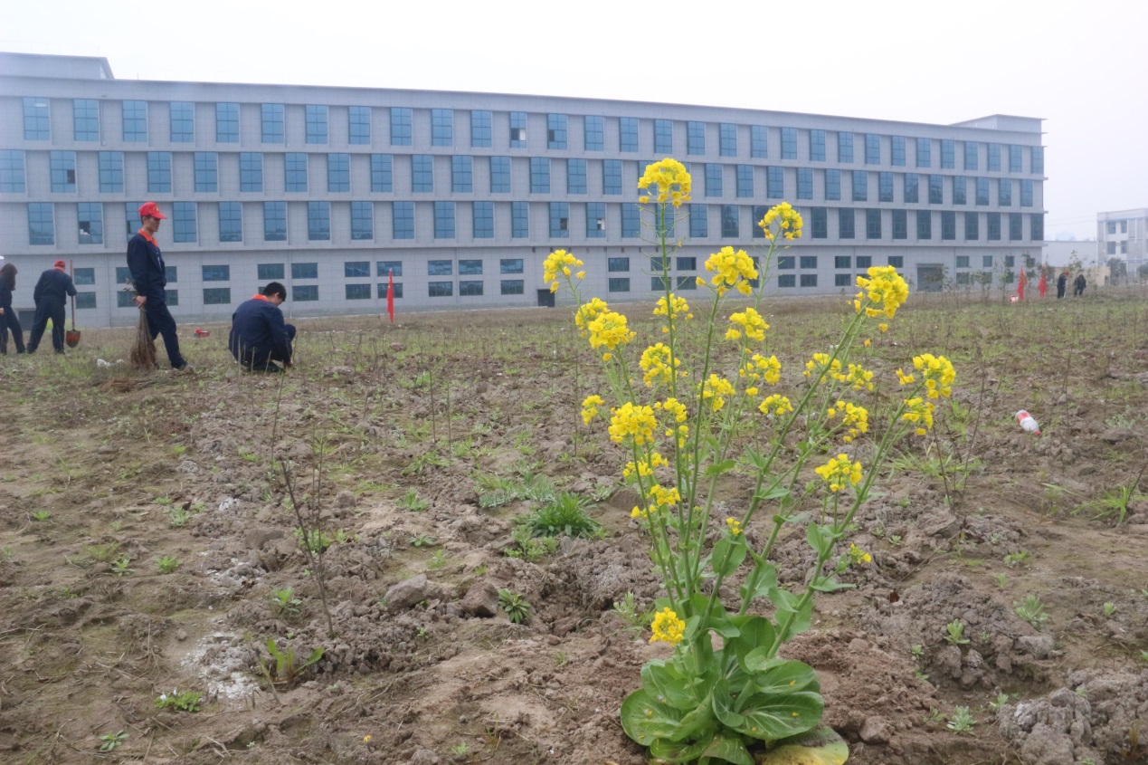 华金润,华金润集团信息技术产业园