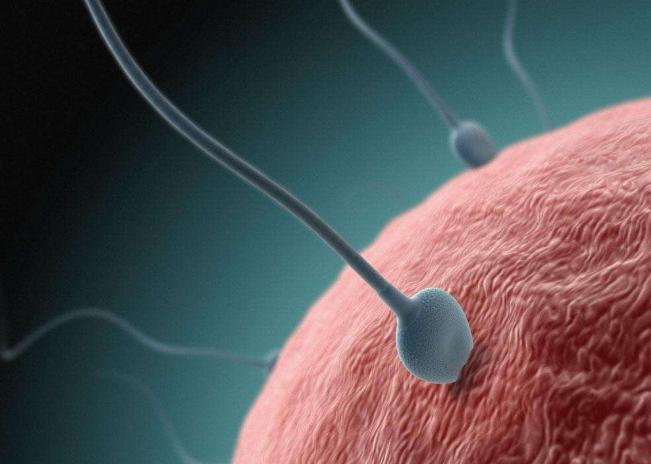 易孕体质四十岁容易怀孕吗,女人有这五种情况容易怀孕