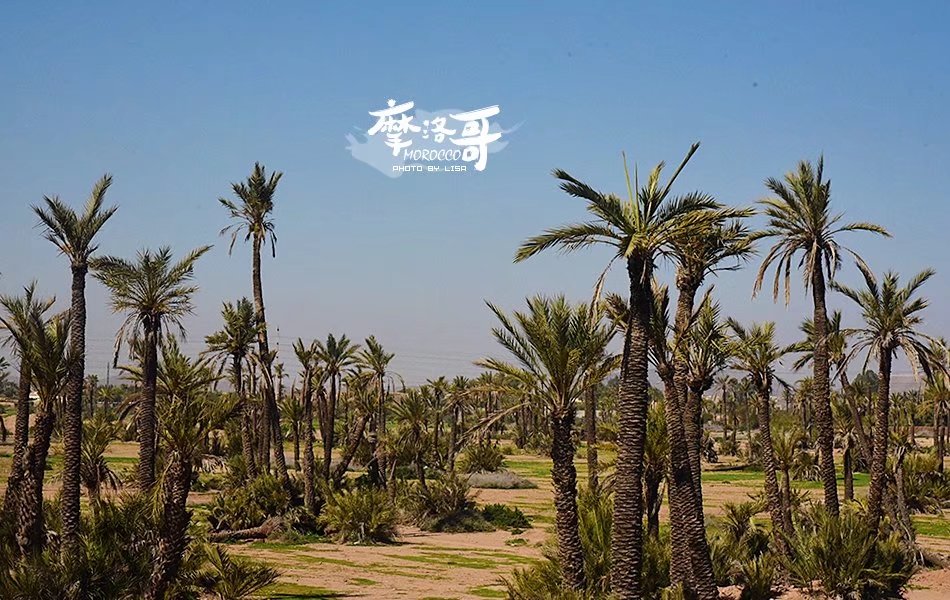 走进摩洛哥,摩洛哥旅游马拉喀什游记