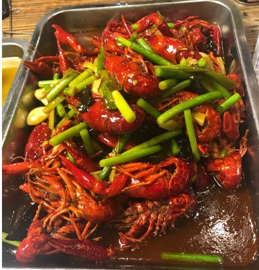 胖胖胖日常生活,胖胖胖的日常生活