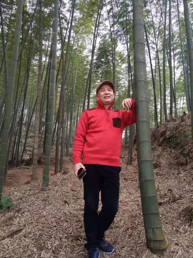 北京鼎丰生菜种子,专注成就专业品质铸就品牌