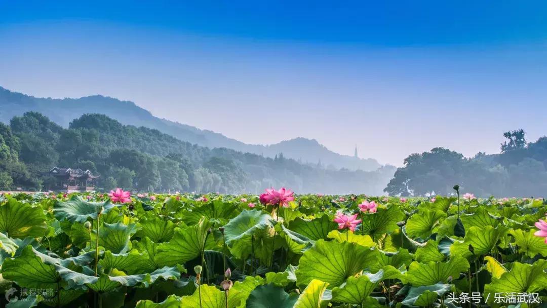 最近从武汉出发的特价机票,武汉旅游4天3晚团购价含机票