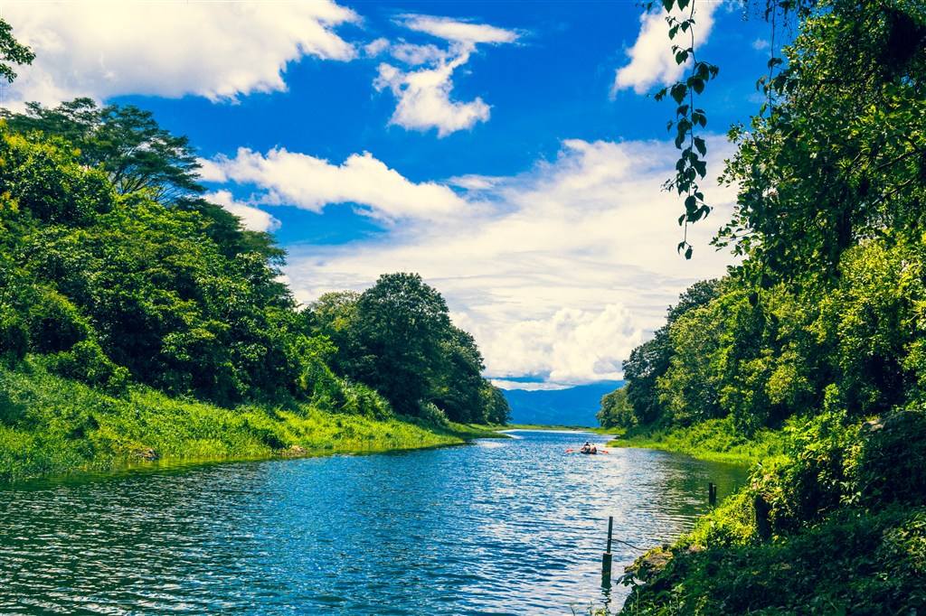 百香果的真正种植方法,种植百香果的正确方法