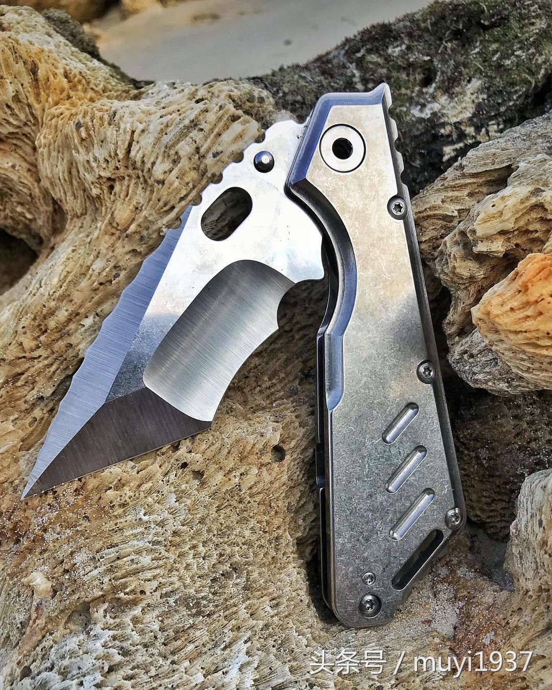 闯荡江湖需要什么条件,闯荡江湖的正确方法