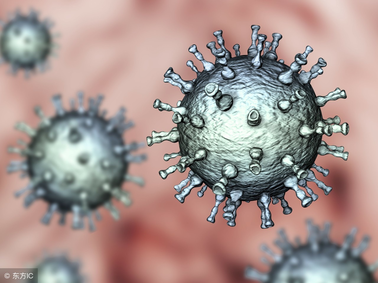 生殖器附近长水泡,生殖器包皮上长水泡