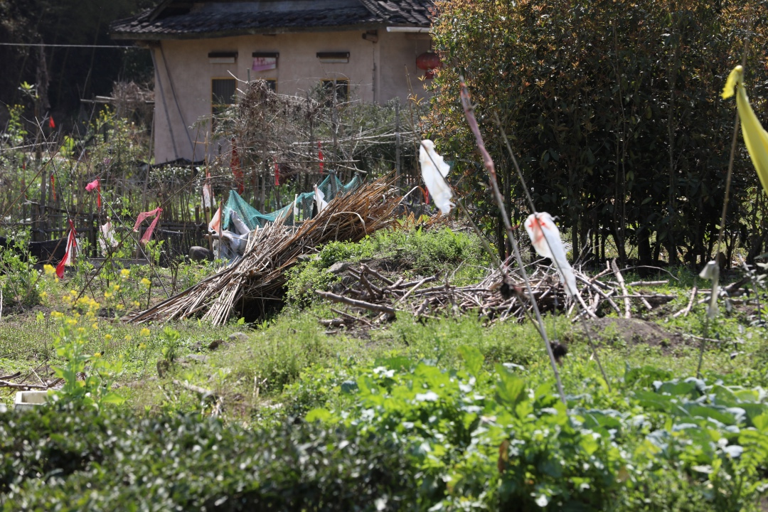 福建土楼你不知道的,福建土楼是否值得看