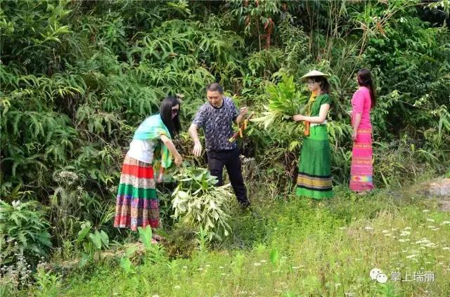 2018云南瑞丽傣族泼水节,2019年云南瑞丽泼水节