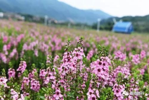 一秒钟搞定“花痴”攻略，别说我没帮你~