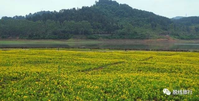 一秒钟搞定“花痴”攻略，别说我没帮你~