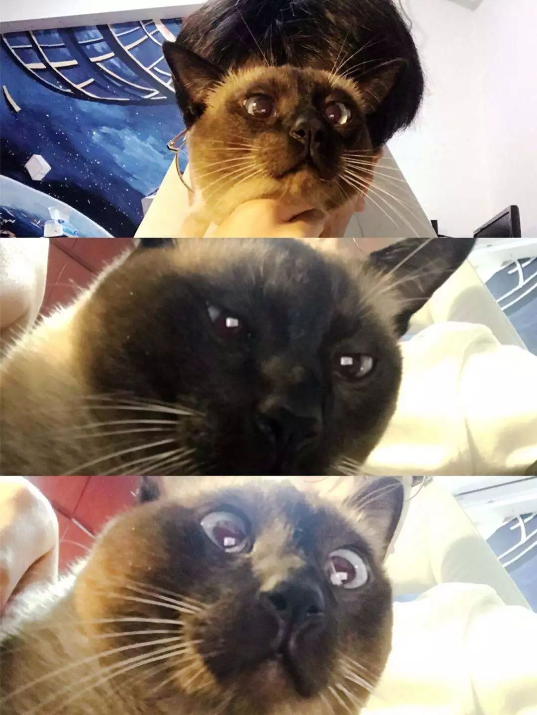 坎伯韦尔插画硕士,伦艺坎伯韦尔插画研究生就业前景