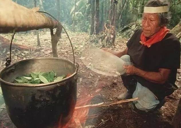 砍下白化病人的四肢入药，猎杀光头男人治病：只有你不敢想，没有巫医做不到