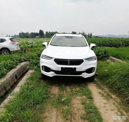 weyvv7开起来怎么样,weyvv7c怎么样