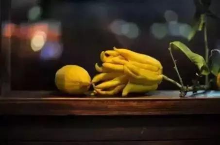 佛手止咳化痰特别好,佛手果怎么熏香