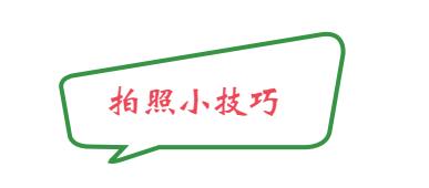 几个实用的手机小技巧推荐给你,解答你不知道的手机小技巧
