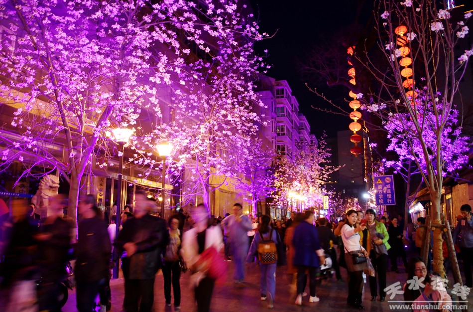 天水玉兰古巷全景图,天水玉兰古巷快闪视频