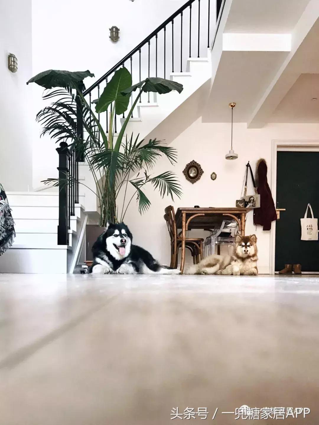 没做无主灯的吊顶,无主灯吊顶