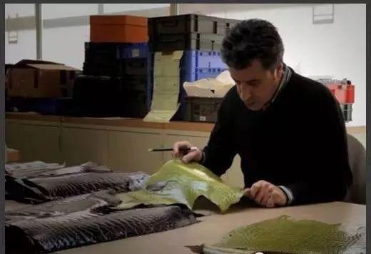 怎样辨别鳄鱼皮具,鳄鱼皮具最新视频