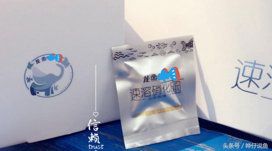 硝化细菌对观赏鱼有什么作用,宠物鱼硝化细菌怎么培养