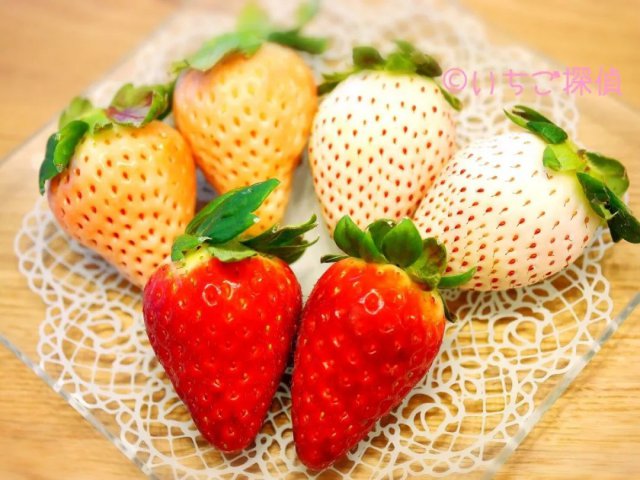 陈冠希吃的苹果,陈冠希吃的白草莓什么品种