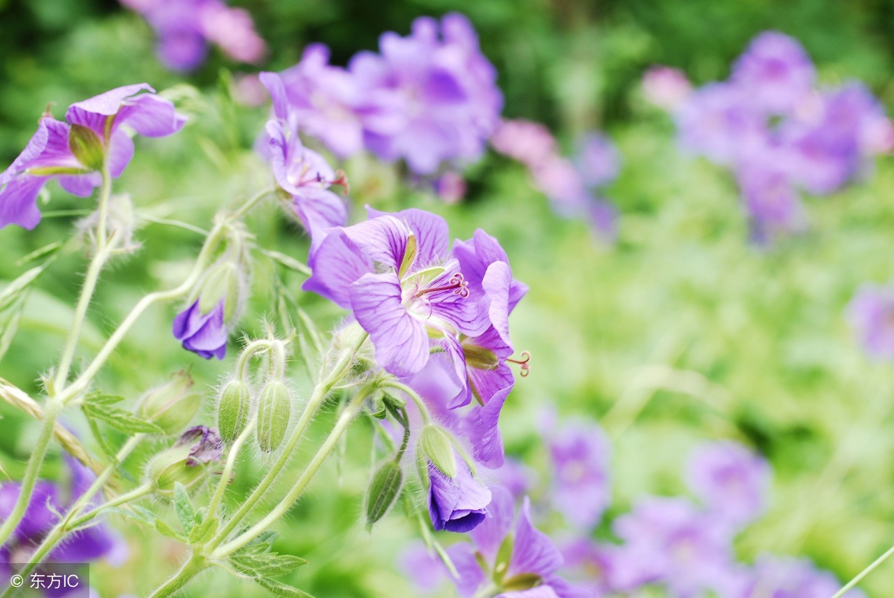 戒色只是万里长城的第一步