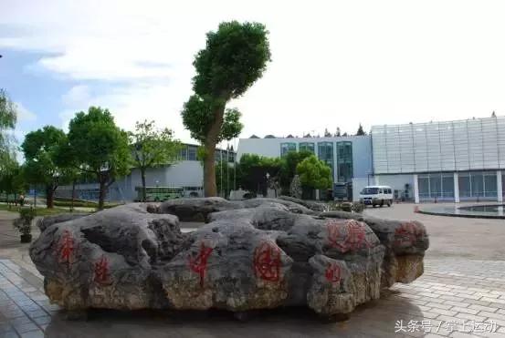 申花梯队根宝,根宝带着申花拿了几次冠军