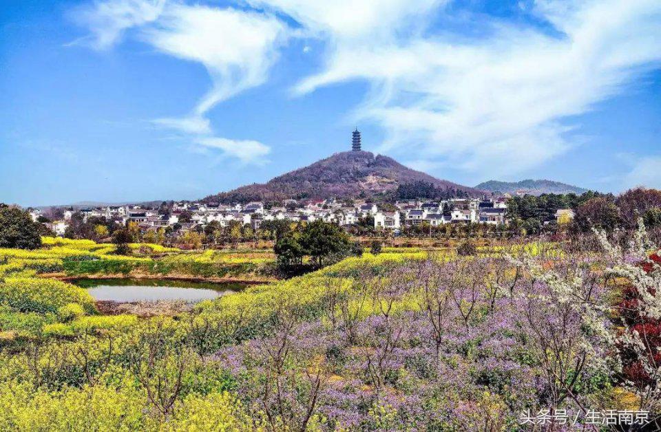 南京高淳区怎么样,南京高淳出的明星