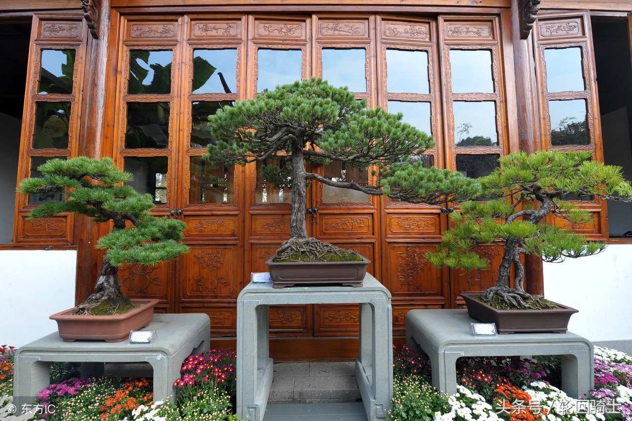 办公室风水的布局知识,2018办公室风水知识大全